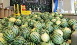 今日吃瓜地址,探寻幕后真相