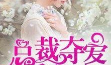 总裁夺爱失婚妻